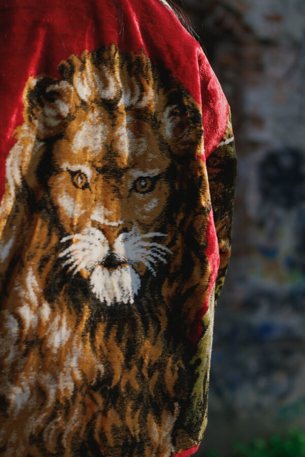 The Lion - imagine 10