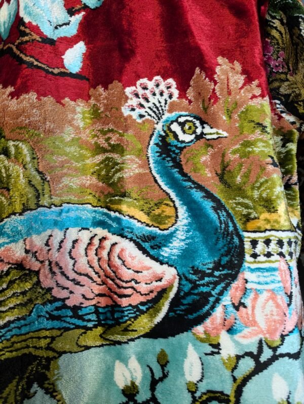 The Peacock - imagine 6